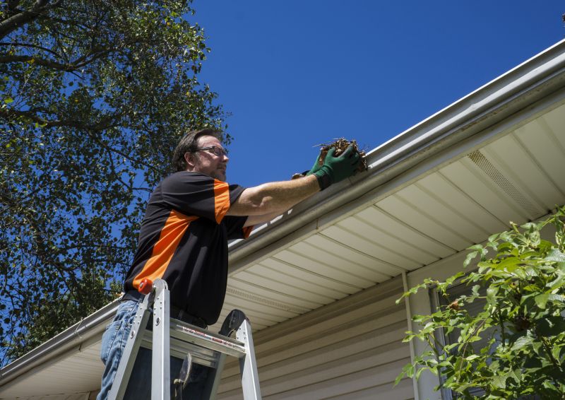 Professional Gutter Maintenance