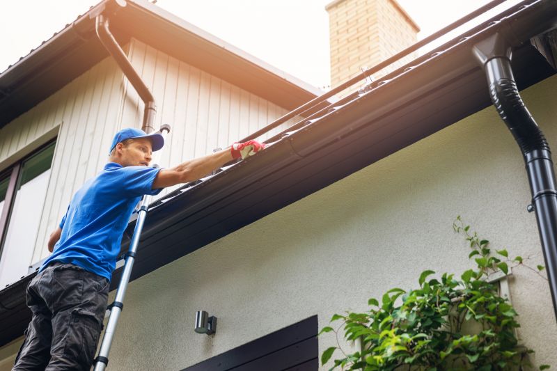 Local Gutter Maintenance Companies